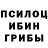 Галлюциногенные грибы Psilocybine cubensis Mesha Savchenko