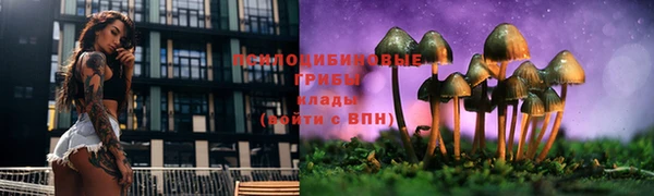 хмурый Козловка