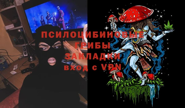 ALPHA PVP Кодинск