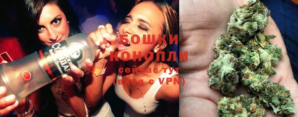 хмурый Козловка
