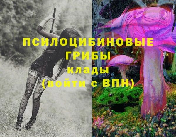 хмурый Козловка