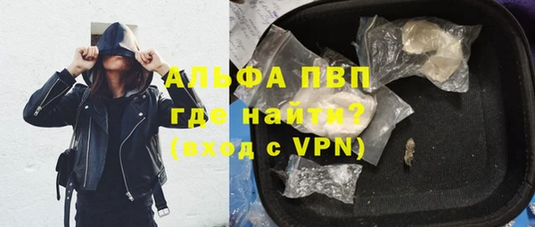 стаф Козельск