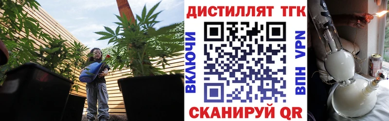 Купить где  Кирс  ТГК гашишное масло 