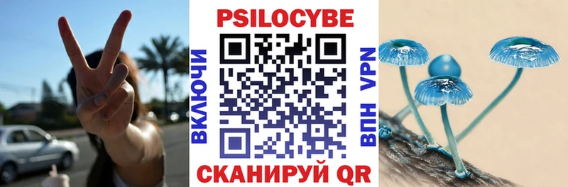 Галлюциногенные грибы прущие грибы  Купить где  Кирс 